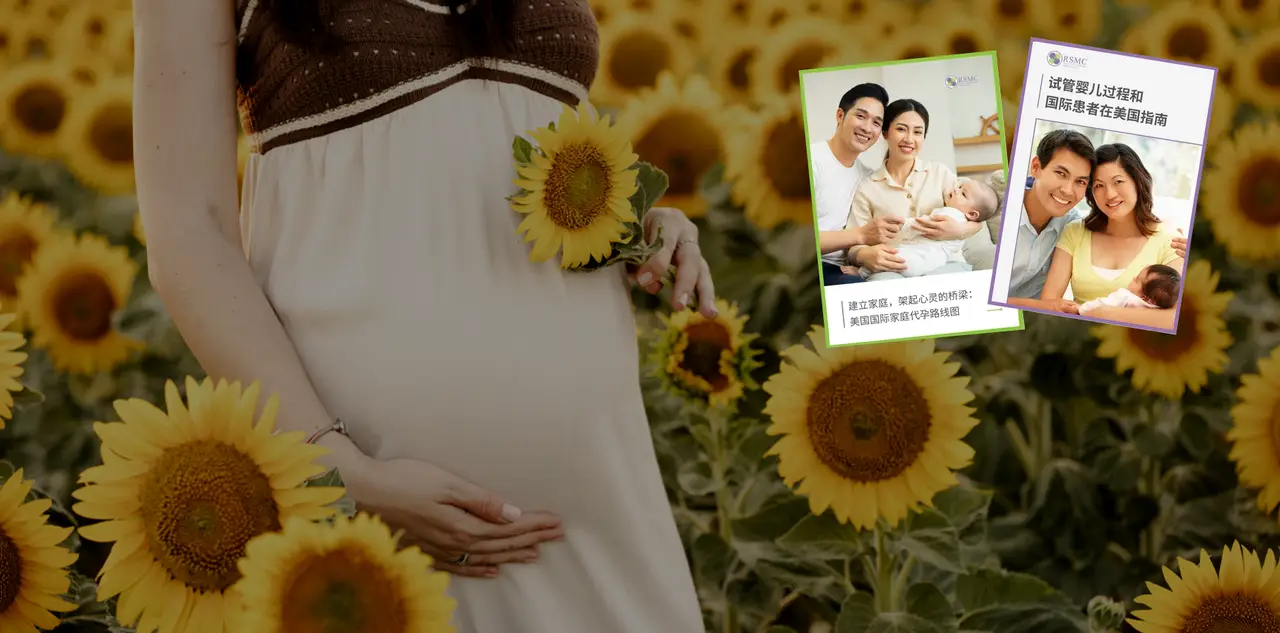 免费领取 RSMC 美国试管婴儿与代孕生育方案指南